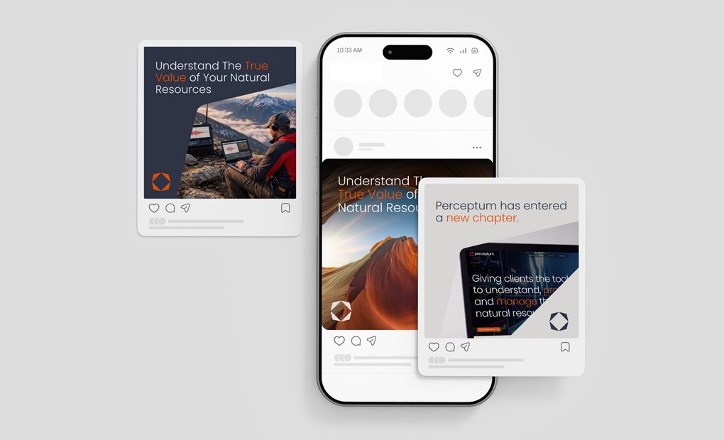 Perceptum Limited social posts